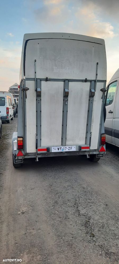 Brenderup Remorcă transport cai sau animale - 5
