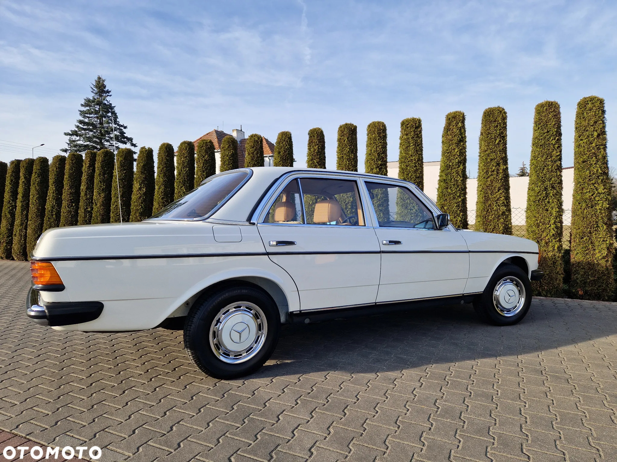 Mercedes-Benz W123 - 8