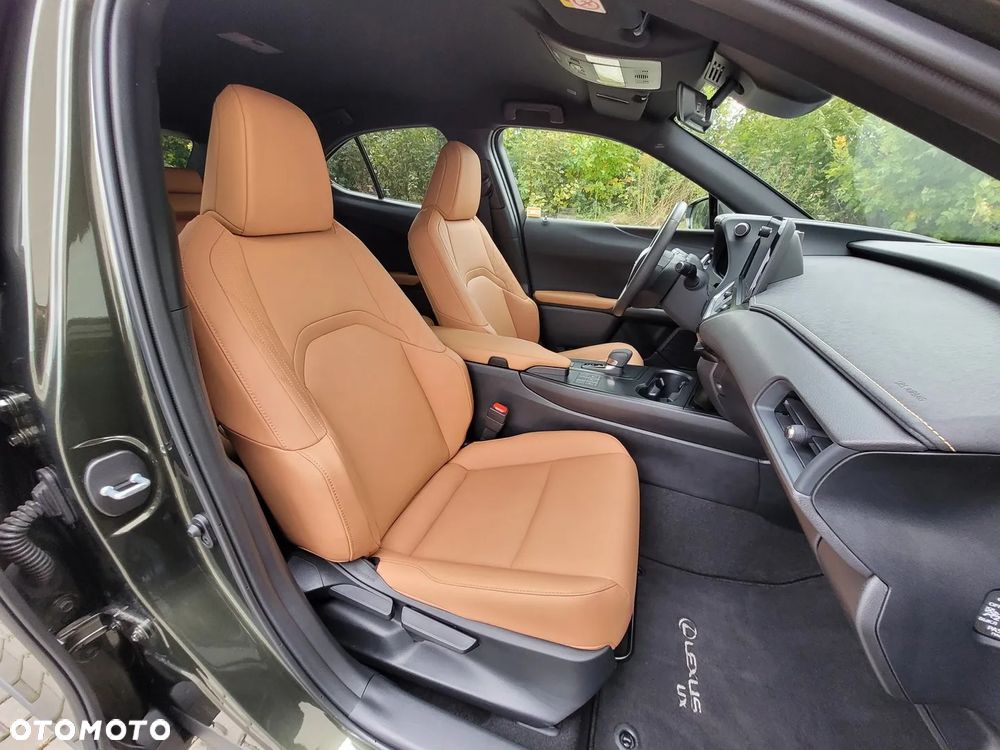 Lexus UX 300h F Sport Design - 16