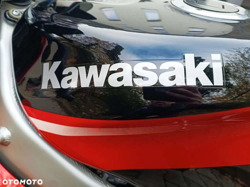 Kawasaki Ninja - 18