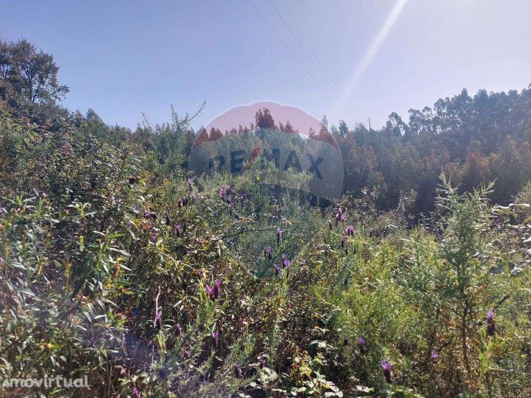 Terreno  para venda - Grande imagem: 3/3