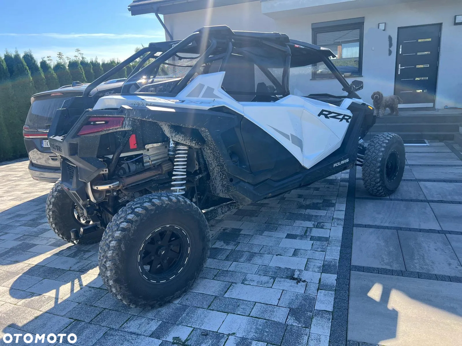 Polaris RZR - 9