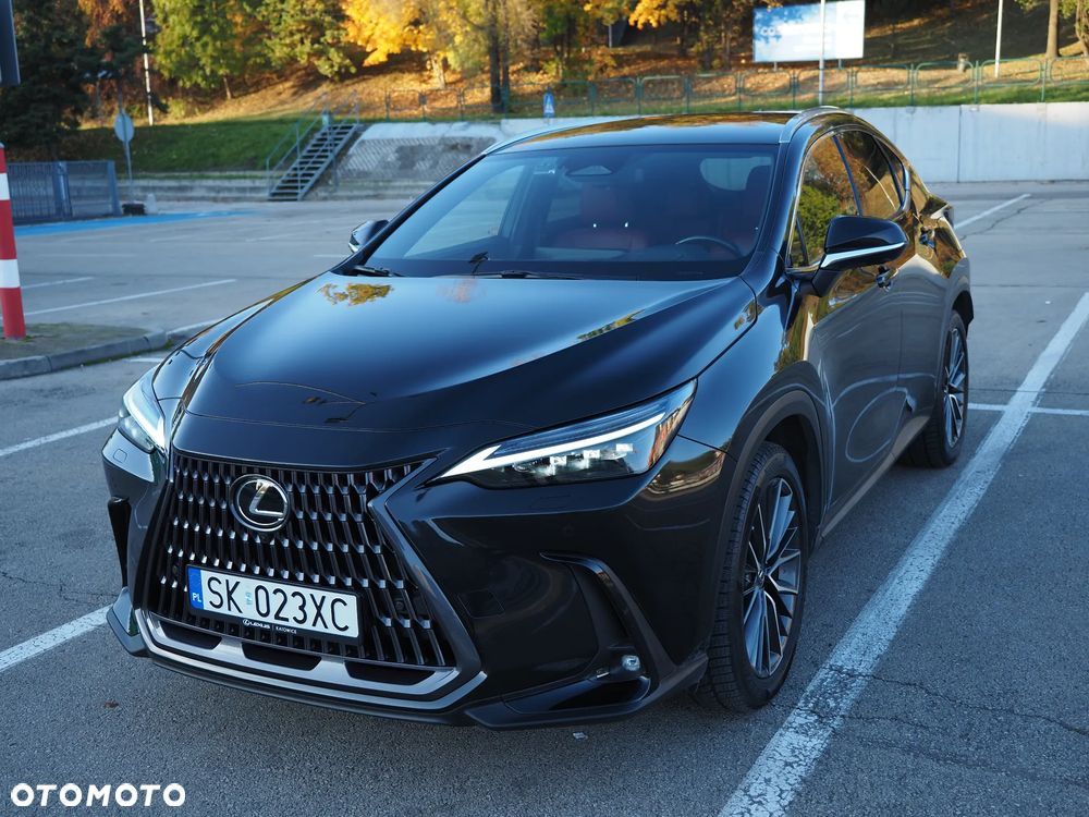 Lexus NX - 22
