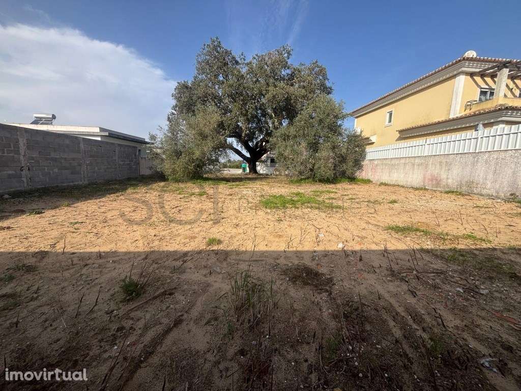Lote Urbano Exclusivo em Azeitão | 470 m² - Grande imagem: 3/7