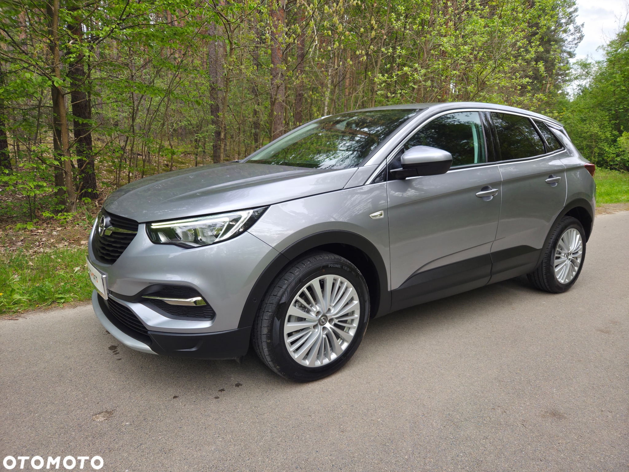 Opel Grandland X 1.6 CDTI Ultimate S&S - 12
