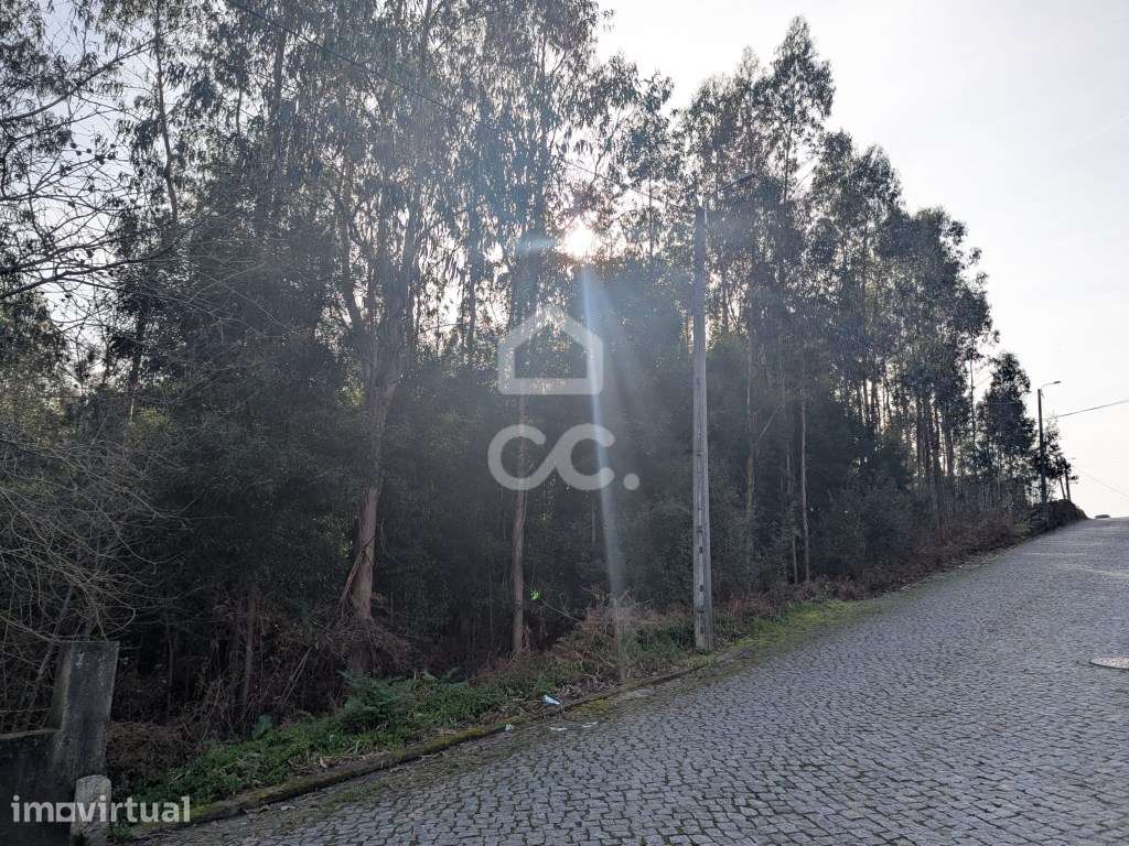 Terreno rústico, para venda com 10.290 m2 em Lousado, Vila Nova de ... - Grande imagem: 4/13