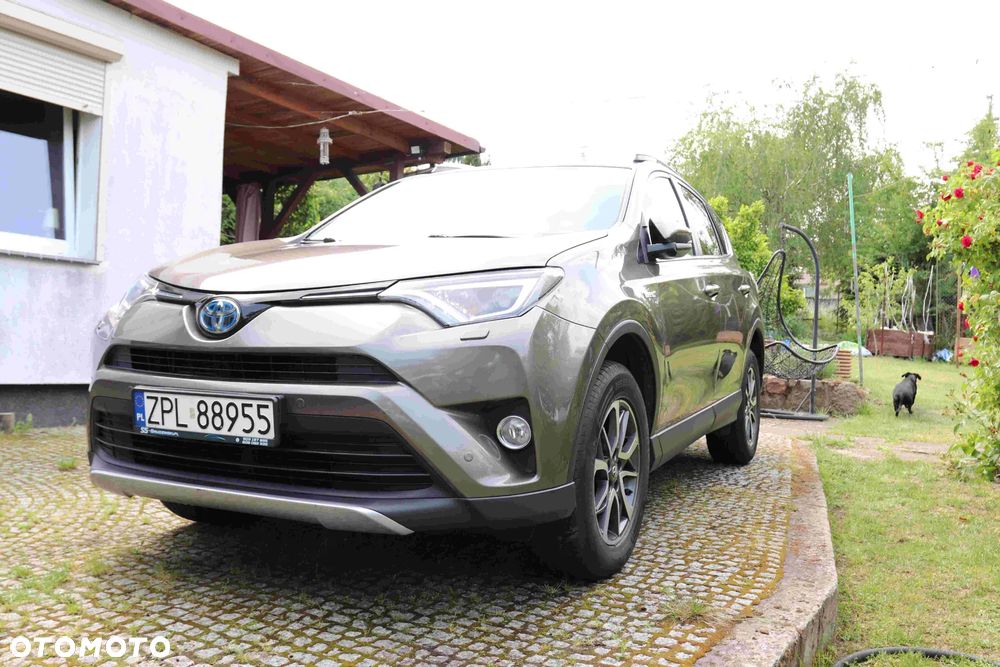 Toyota RAV4 - 7