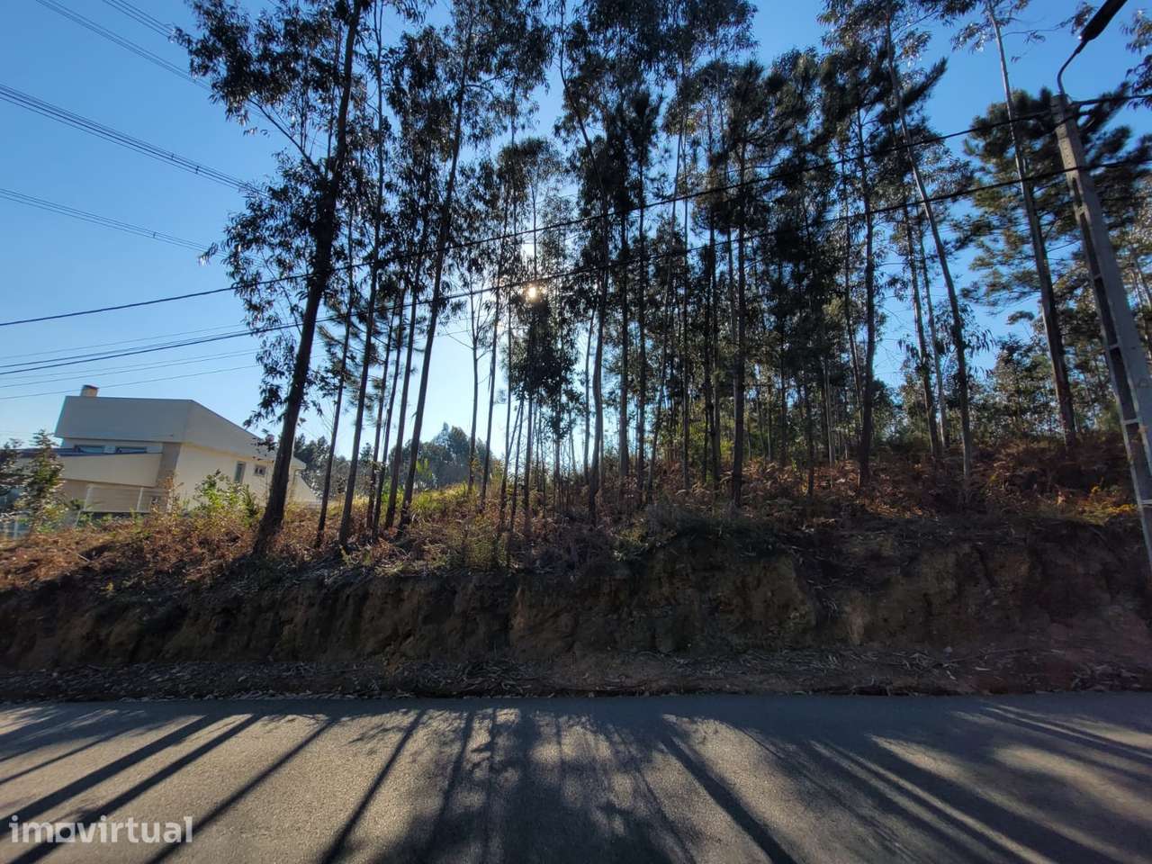 Lote de Terreno p/ construção com uma área total de 7.500 m² em Sandim - Grande imagem: 3/8