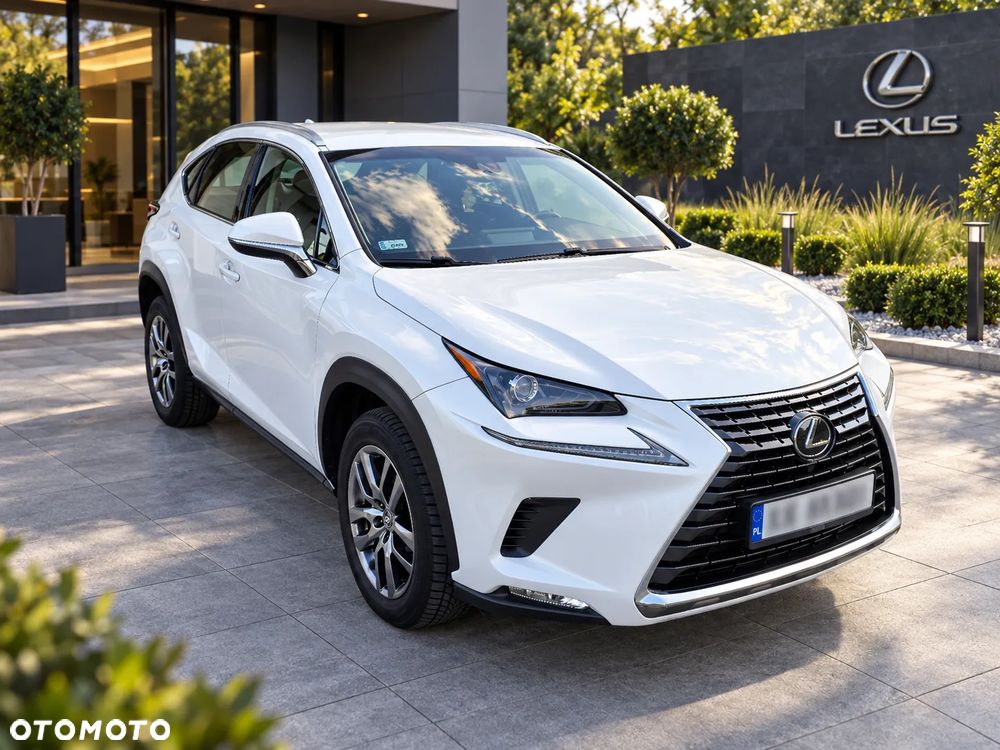 Lexus NX 300 Business Edition AWD - 2