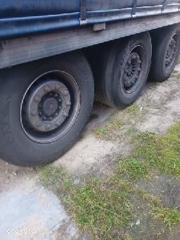 Krone Standard - 2