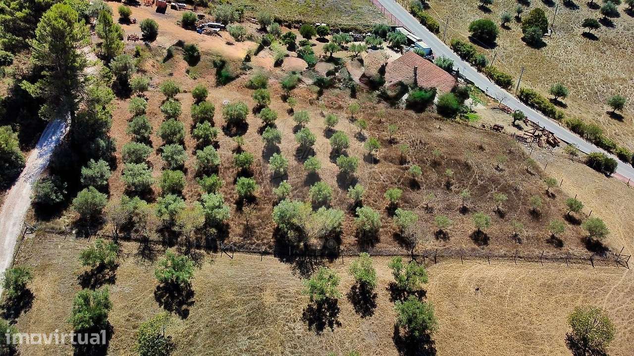 Terreno  para venda - Grande imagem: 3/7