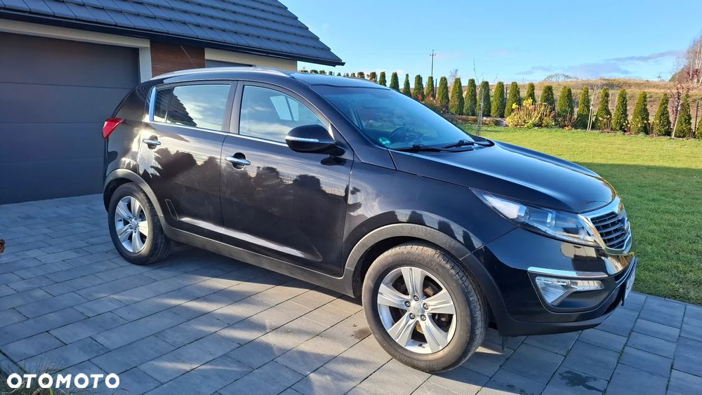 Kia Sportage - 3