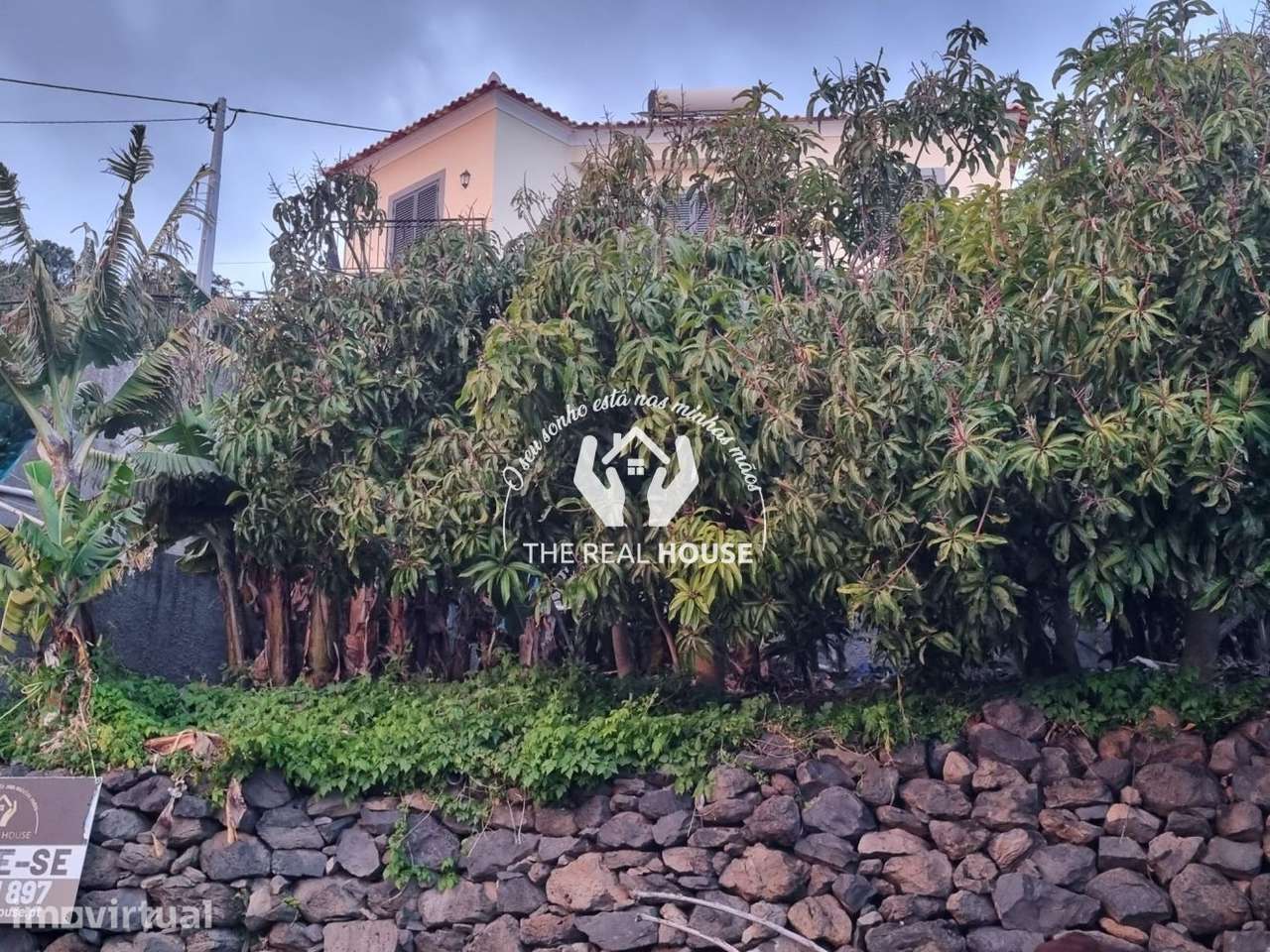 Terreno Ribeira brava - Grande imagem: 3/6