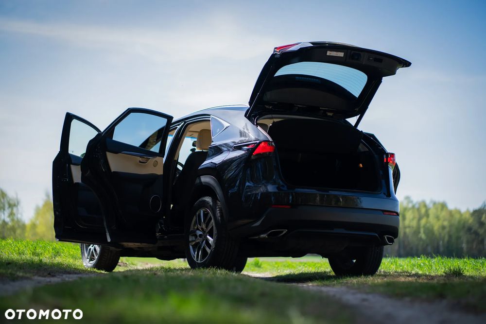 Lexus NX 300 Elegance 2WD - 12