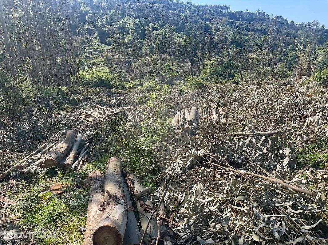 Terreno  para venda - Grande imagem: 3/8