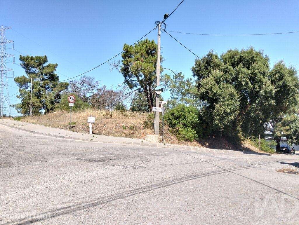 Terreno Agrícola em Gâmbia-Pontes-Alto da Guerra - Grande imagem: 5/8
