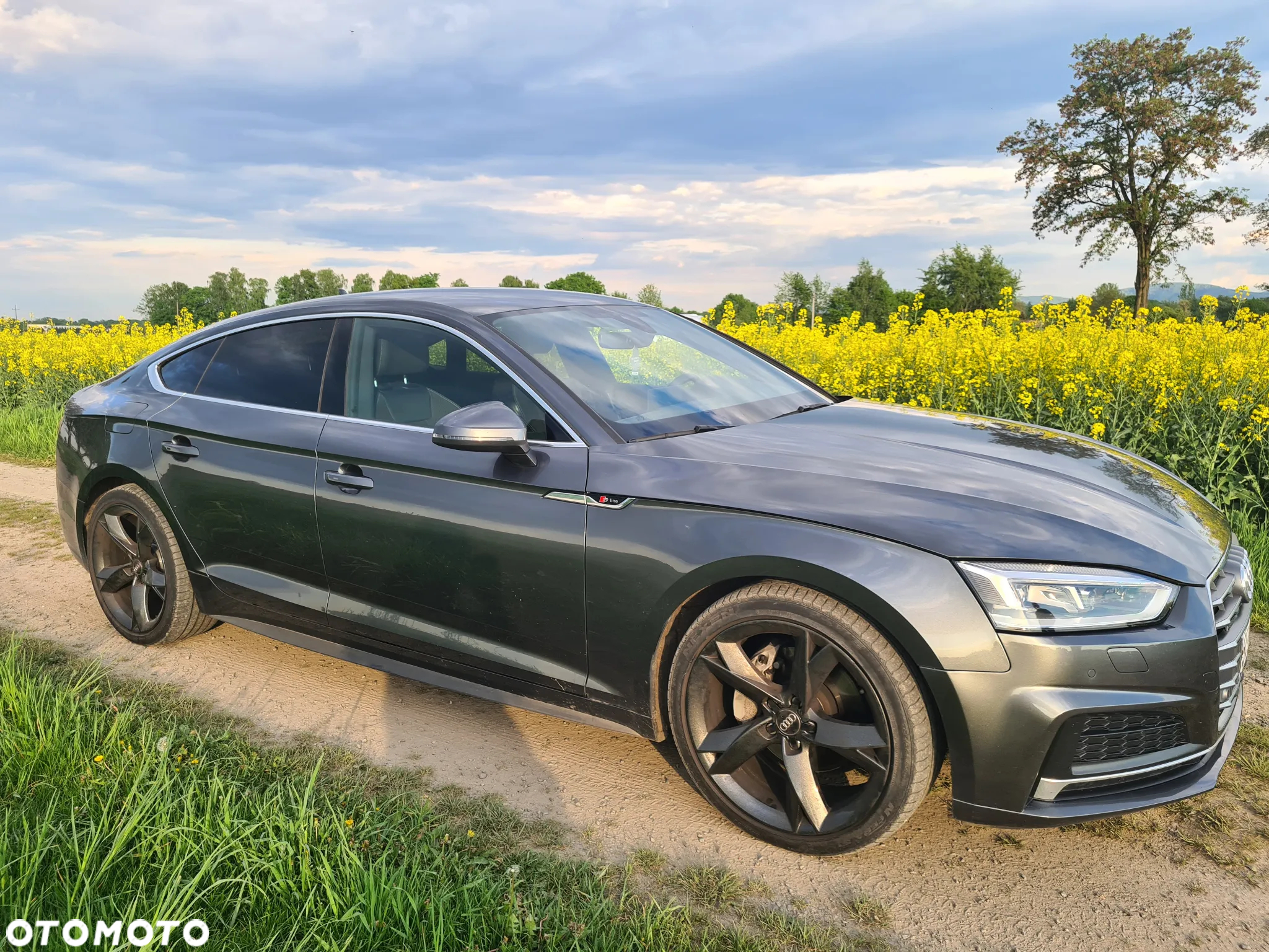 Audi A5 2.0 TDI Quattro S tronic - 3
