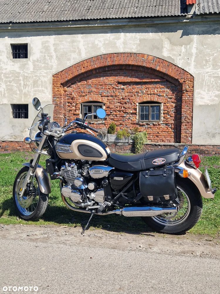 Triumph Thunderbird - 8