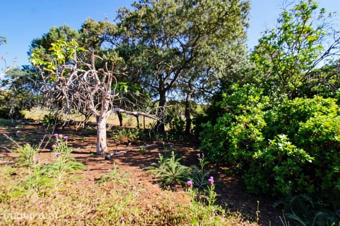 Dois terrenos rústicos planos, vendidos em conjunto, com 7120 m2 - Grande imagem: 3/10