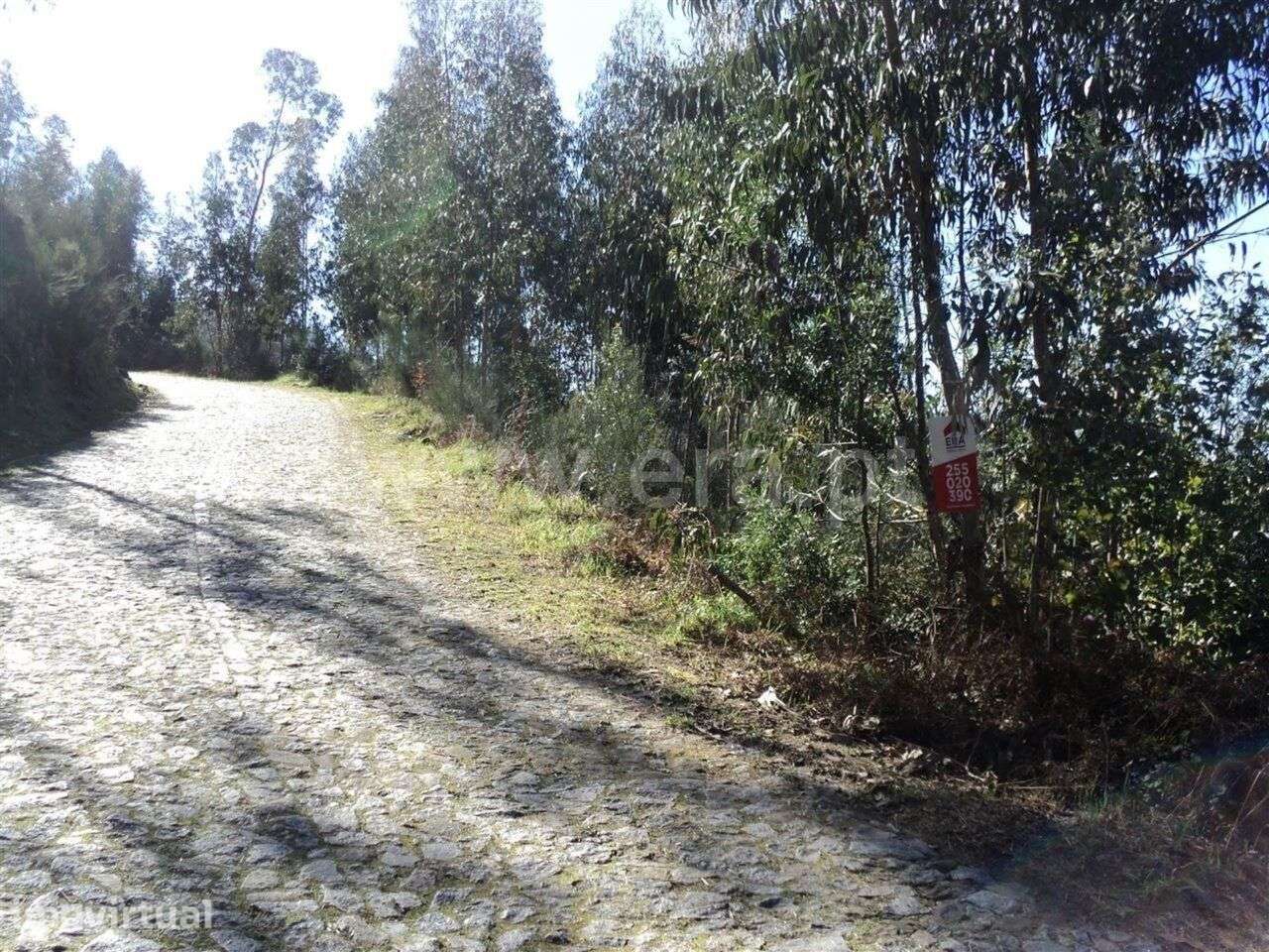Terreno / Marco de Canaveses, Sande e São Lourenço - Grande imagem: 2/6