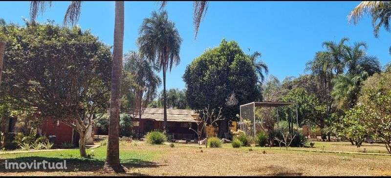 Troco por apto em Lisboa - Grande imagem: 3/3