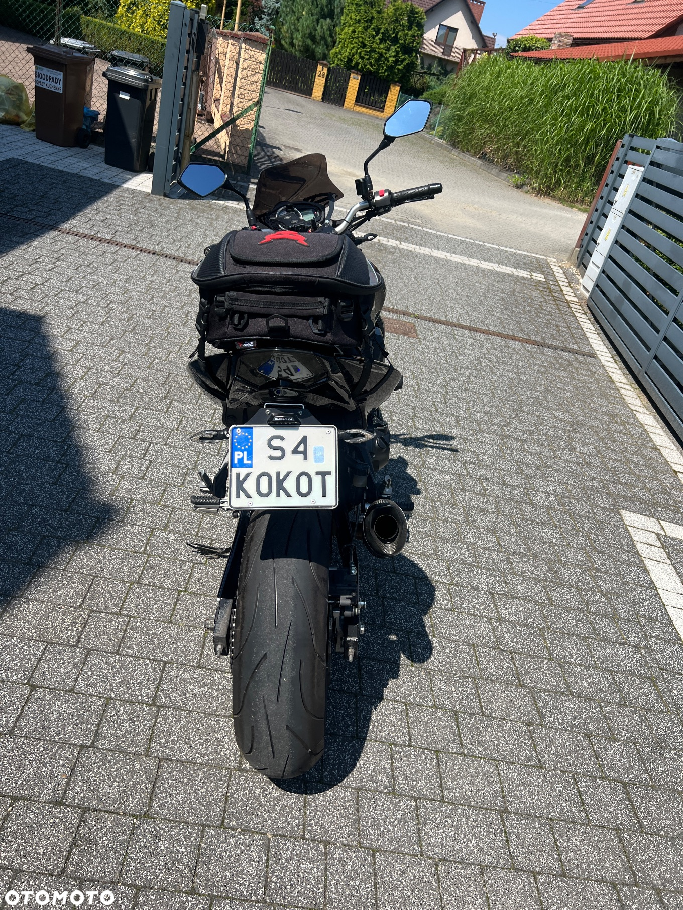 Kawasaki Z - 6