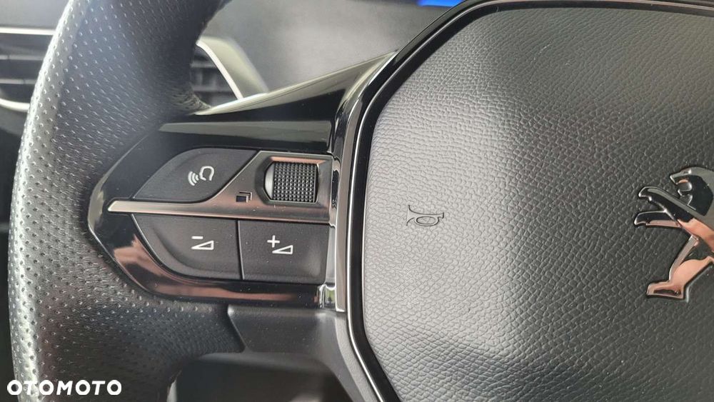 Peugeot 3008 - 19