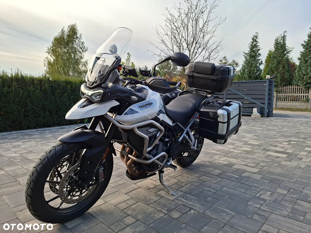 Triumph Tiger - 1