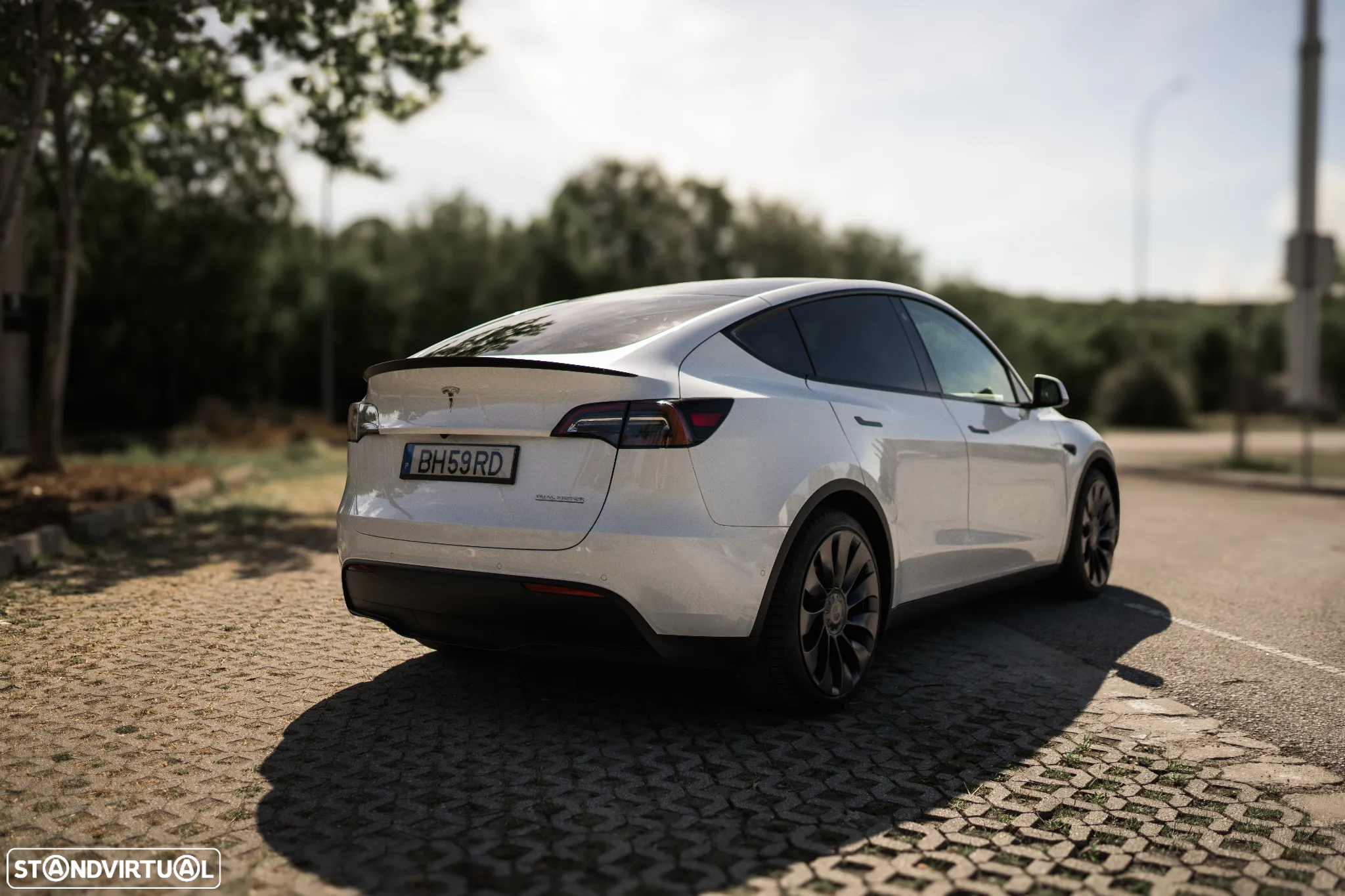 Tesla Model Y Performance Dual Motor AWD - 19