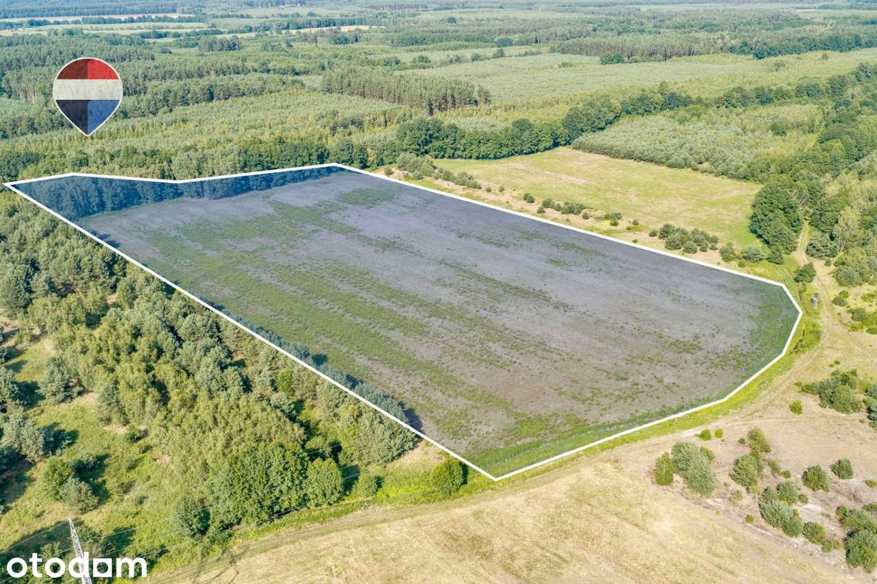 Działka rolna 5,21 ha w Jarogniewicach