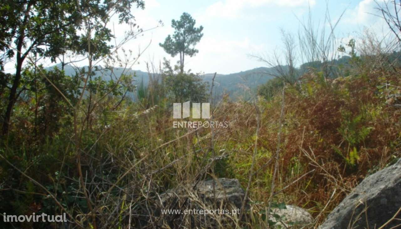 Venda Terreno, Gestaçô, Baião - Grande imagem: 2/4