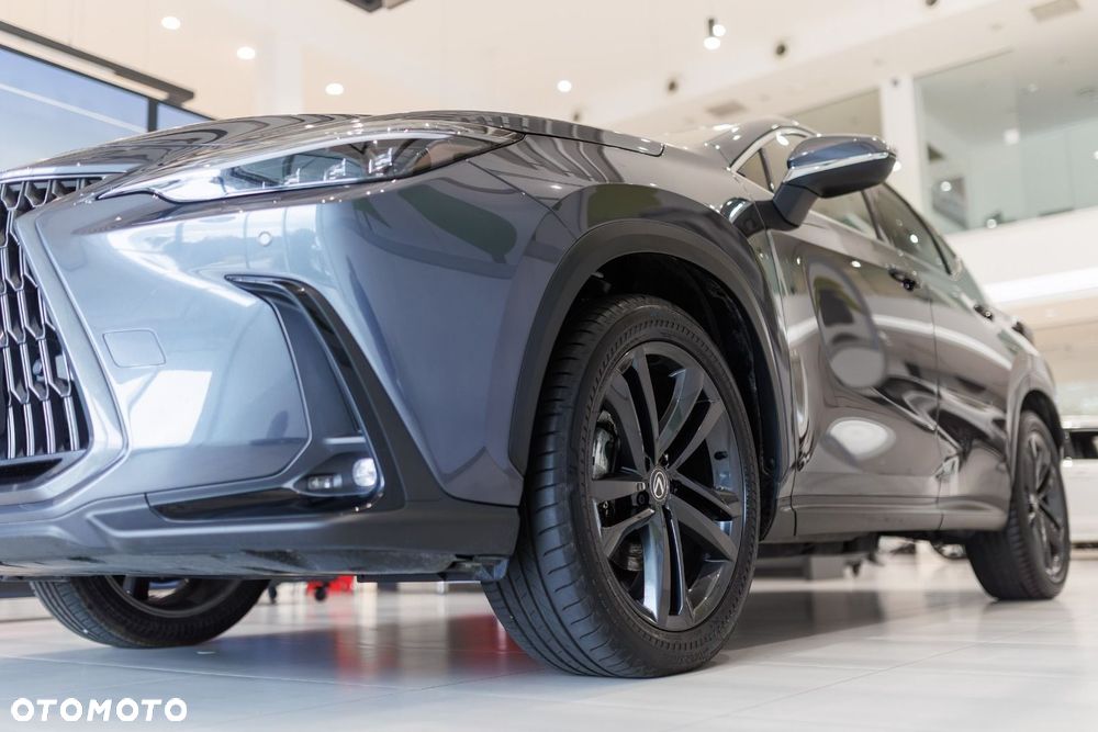 Lexus NX - 22