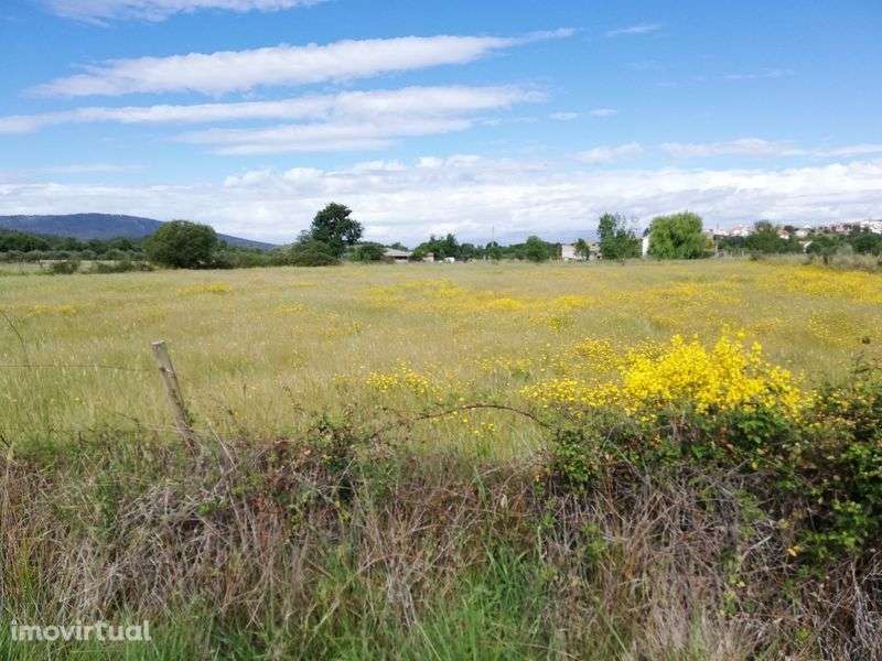 Quinta em Meimoa 9 ha - Grande imagem: 5/11