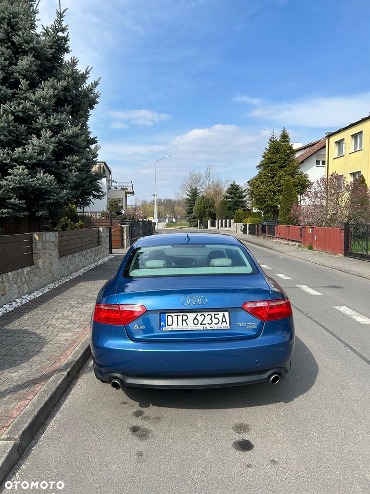 Audi A5 Coupé 3.0 TDI DPF quattro - 19