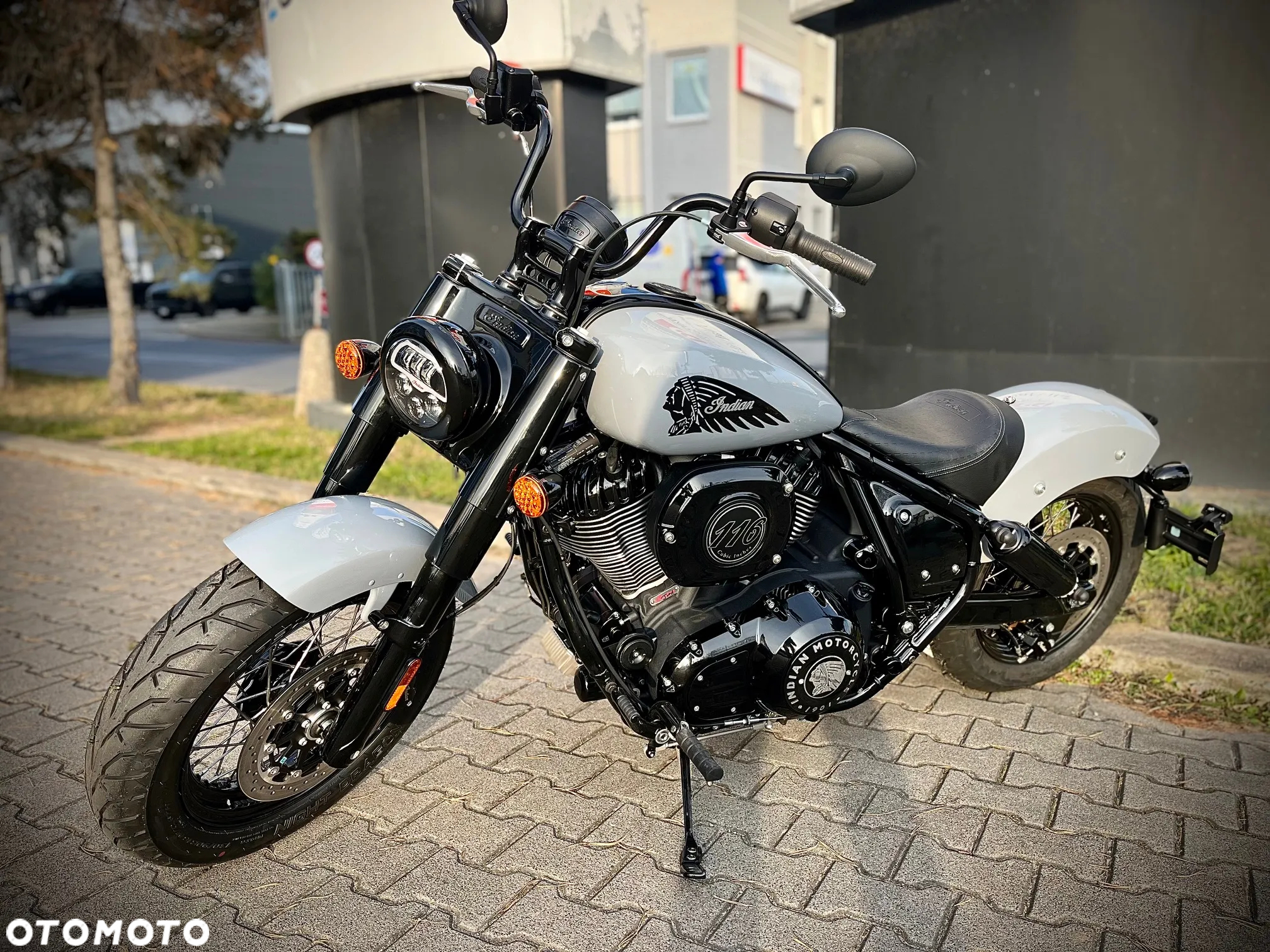 Indian Chief - 7