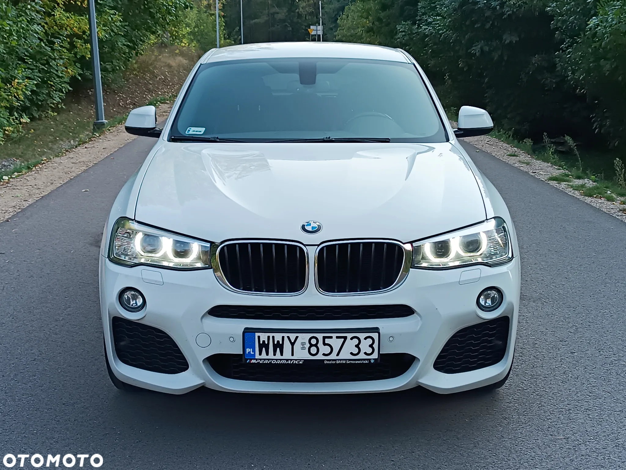 BMW X4 xDrive20d Edycja M Sport - 23