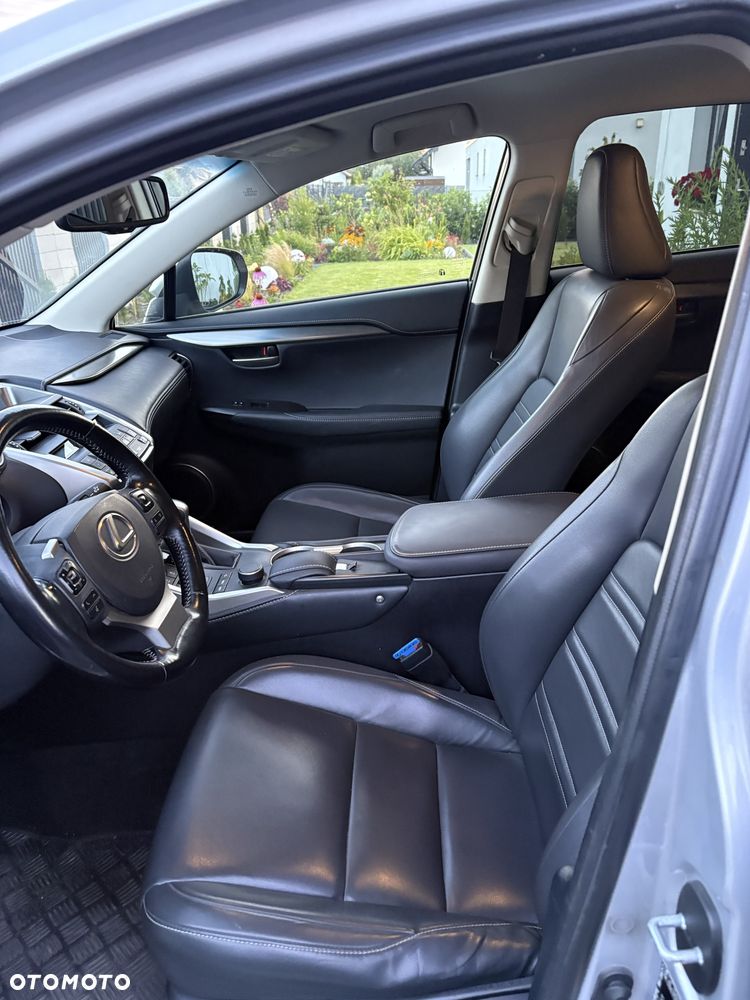 Lexus NX - 6