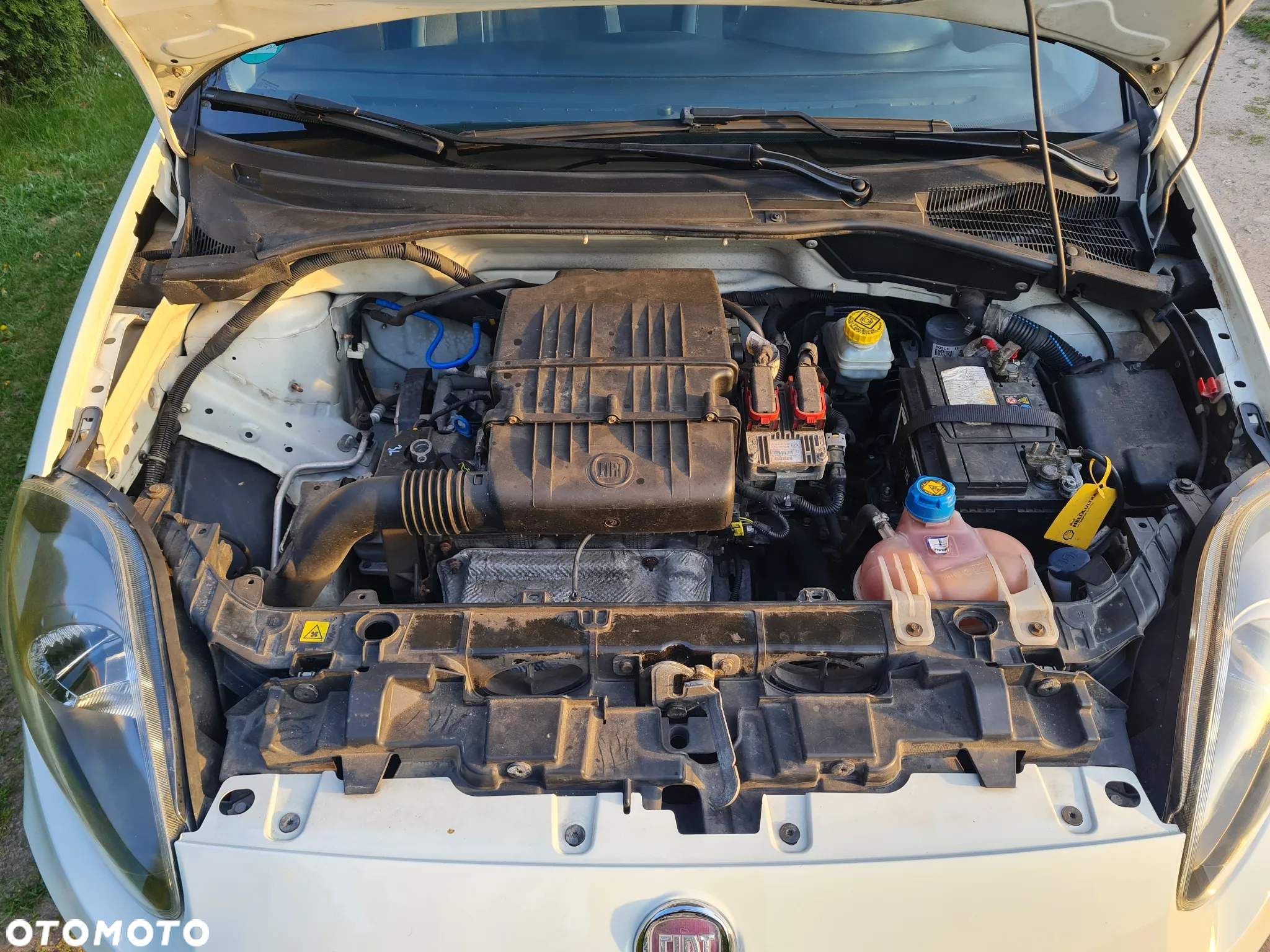 Fiat Punto Evo 1.2 8V Estiva - 27