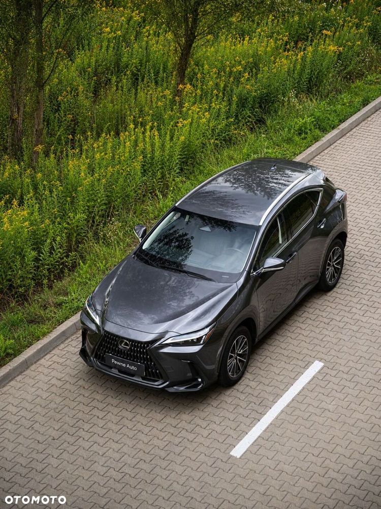 Lexus NX 350h Elegance 2WD - 8