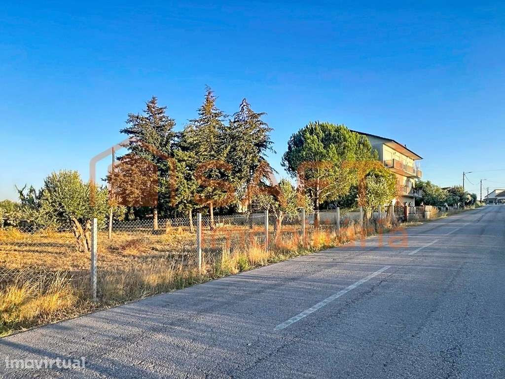 Moradia Bi-Familiar com garagem e terreno agrícola em Delongo, Paia... - Grande imagem: 3/47