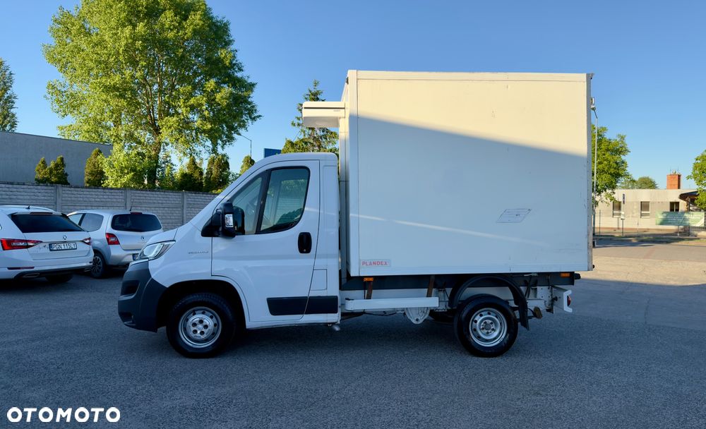Fiat Ducato chłodnia /// Salon Polska /// carrier /// - 13