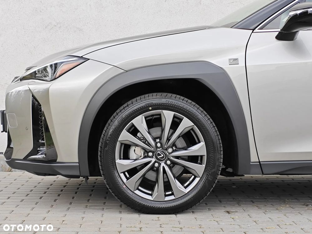Lexus UX 300h F Sport Design AWD - 25