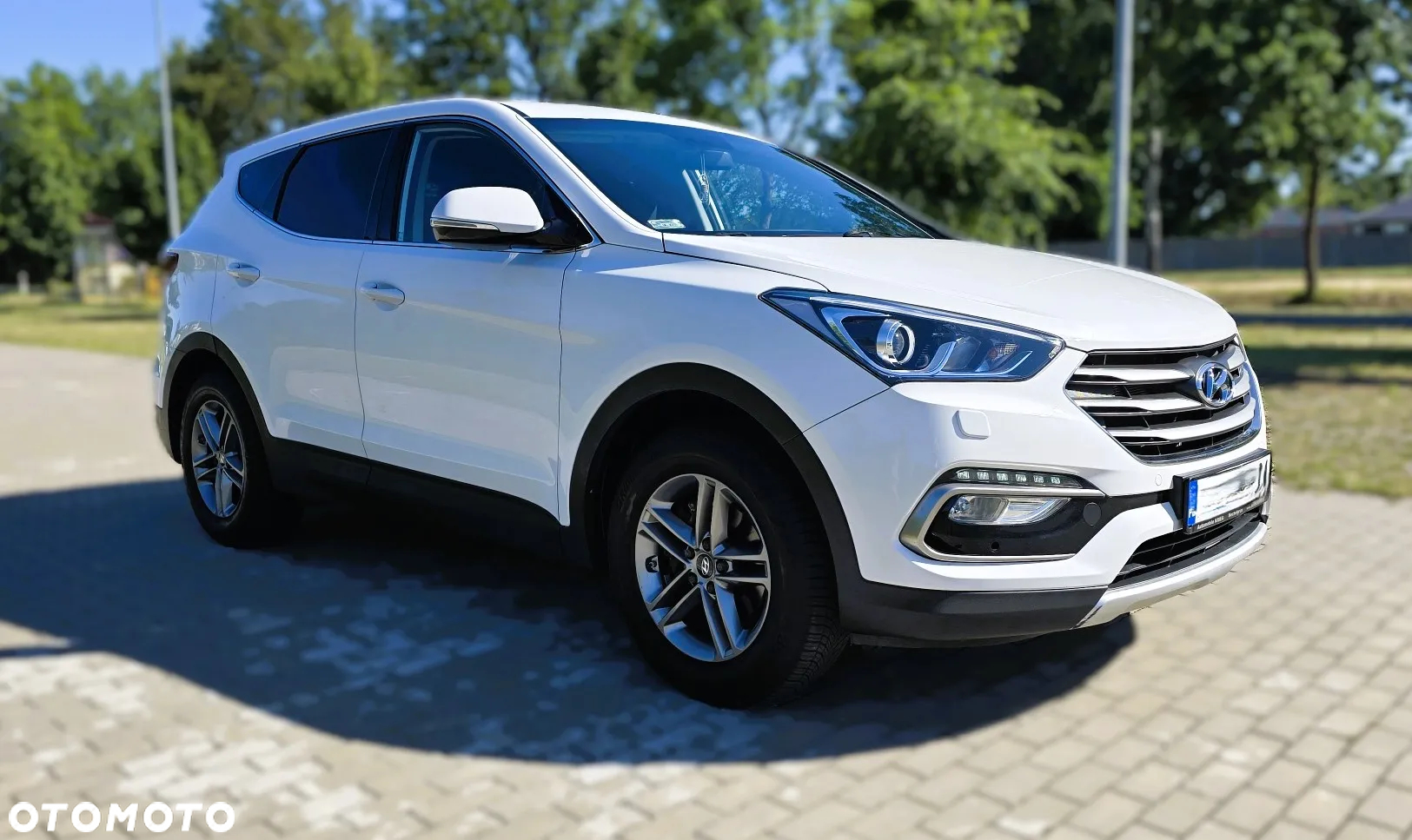 Hyundai Santa Fe 2.0 CRDi Executive - 13