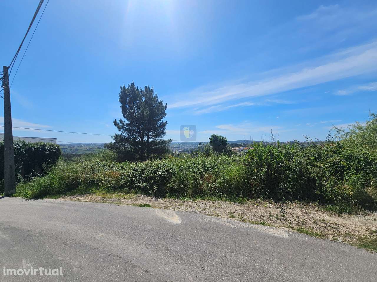 Conjunto de 7 Terrenos entre Alcobaça e Aljubarrota - Grande imagem: 4/10