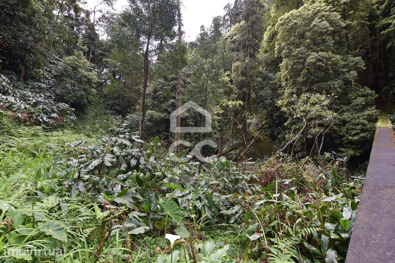 Terreno com 2500,00 m2 - Água de Pau - Lagoa - Grande imagem: 5/9