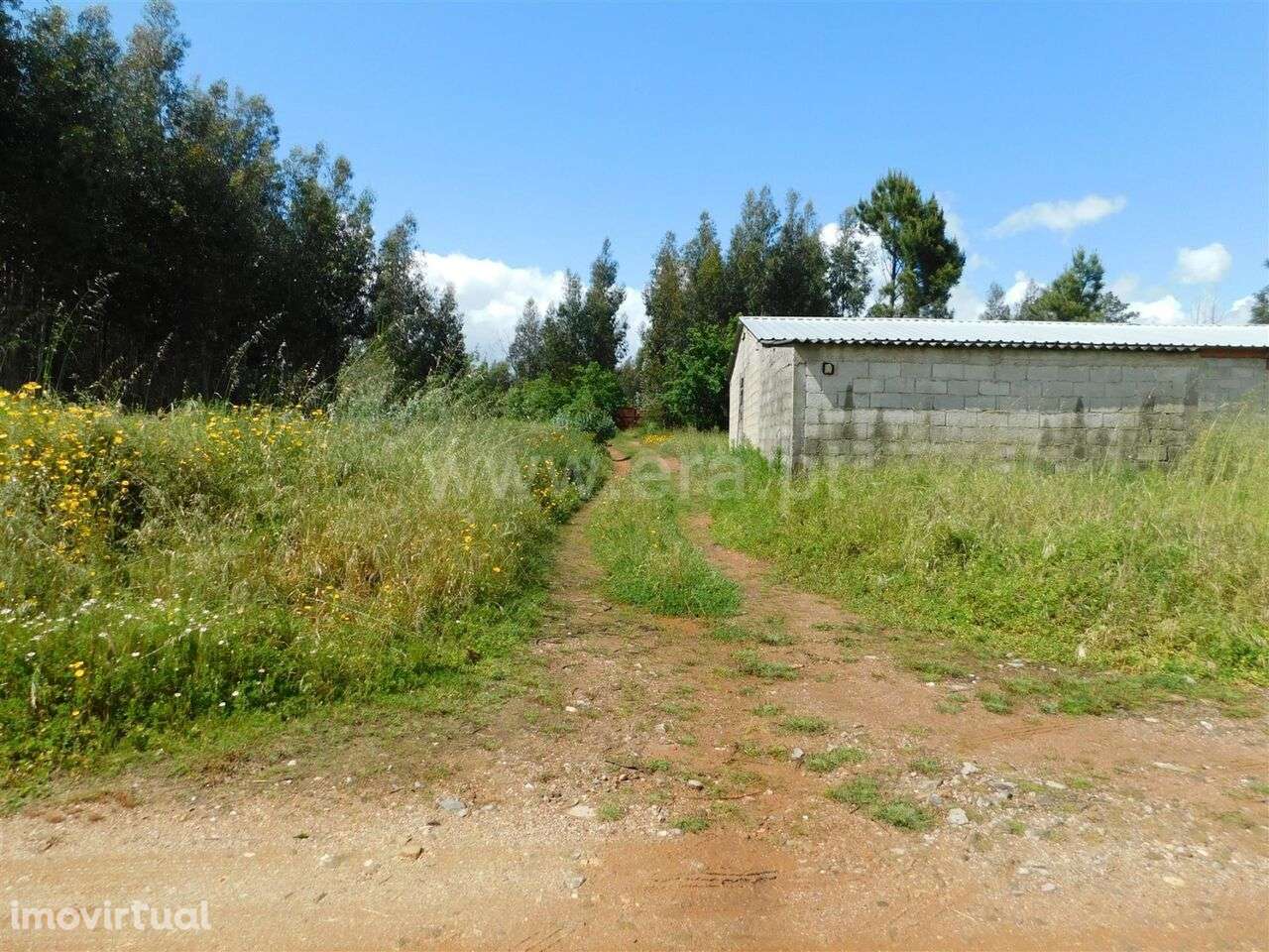 Terreno / Seia, Tourais e Lajes - Grande imagem: 5/11