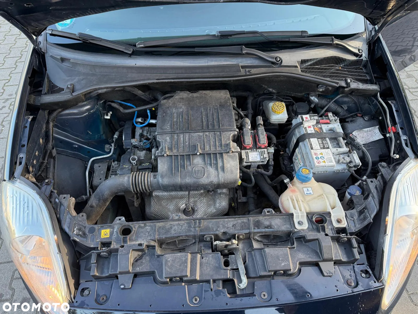Fiat Punto - 19