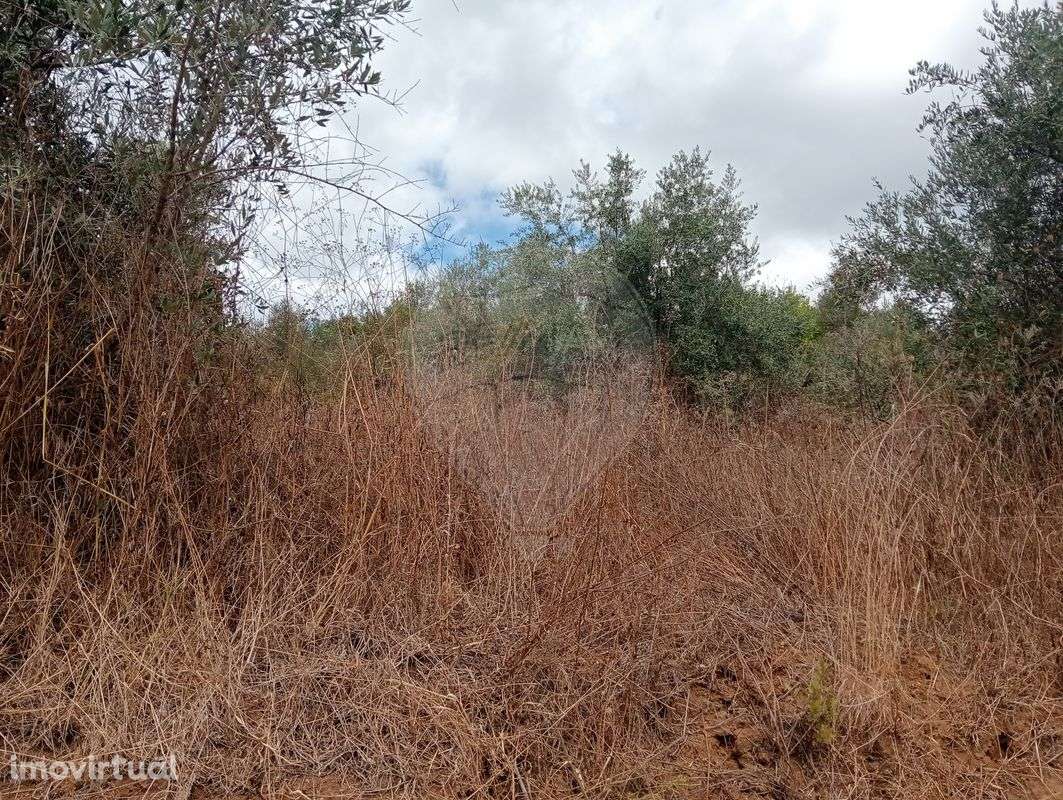 Terreno  para venda - Grande imagem: 3/3