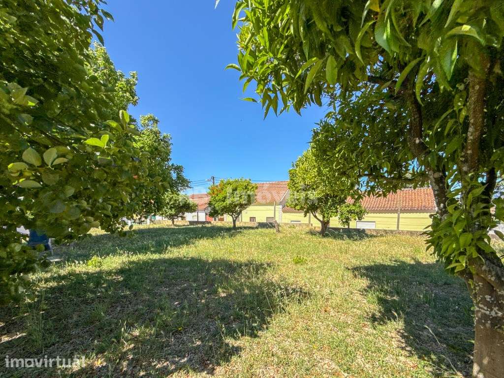 Moradia T2+2 c/ Jardim e Garagem - Barroca, Torres Novas - Grande imagem: 4/60