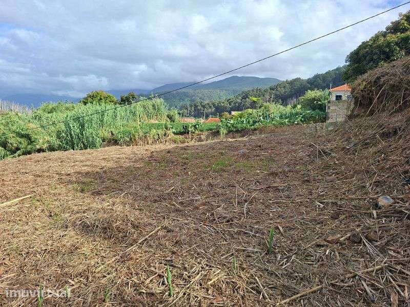 Terreno no Sítio dos Lamaceiros- Porto Moniz (Madeira) - Grande imagem: 5/12